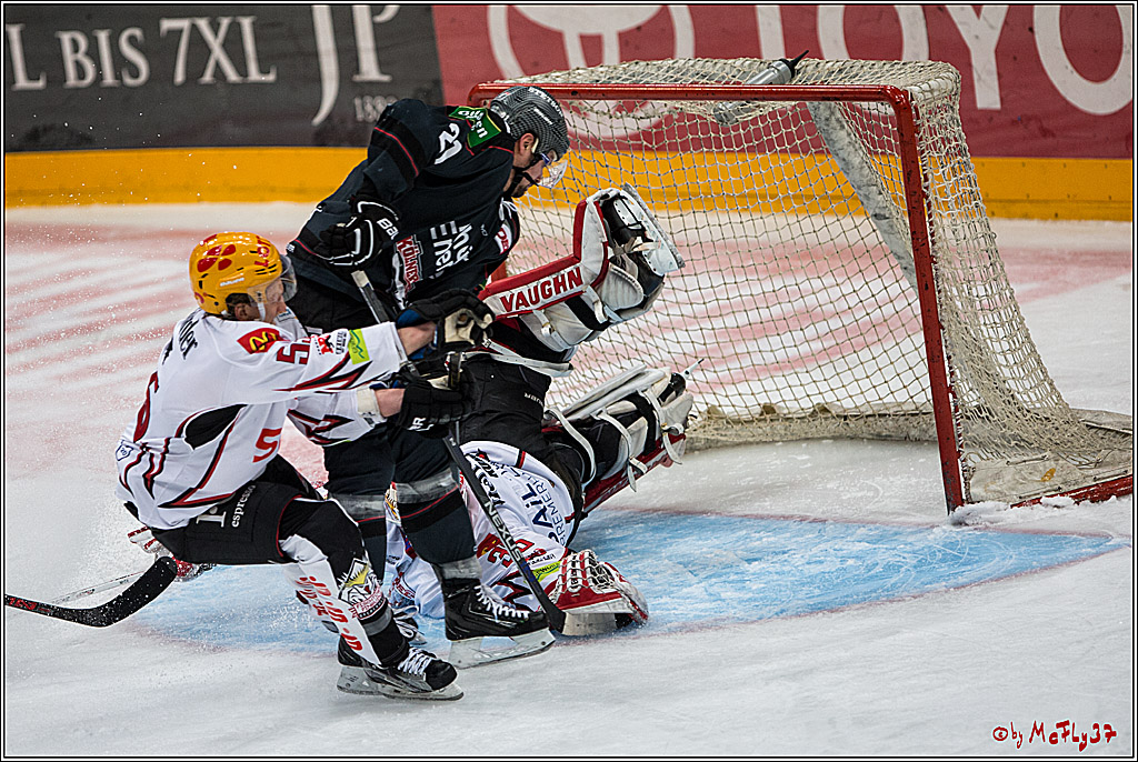 DEL, Koelner Haie - Fishtown Pinguins Bremerhaven, 29.01.2017